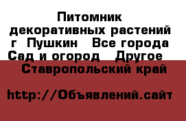 Питомник декоративных растений г. Пушкин - Все города Сад и огород » Другое   . Ставропольский край